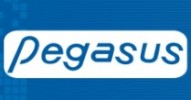 pegasus equipment export limited