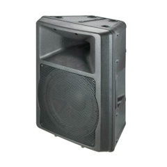 10 Inch 2 Way Speaker Box
