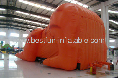 Tiger Inflatable Slides