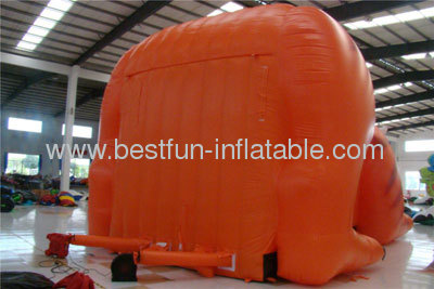 Tiger Inflatable Slides