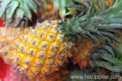 china bromelain