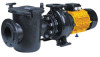 1HP 1.5HP 2HP water pump for you