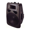 12&quot; monitor plastic speaker cabinet