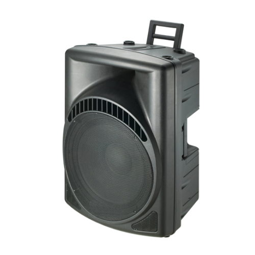 12 Inch 2 way portable stage audio