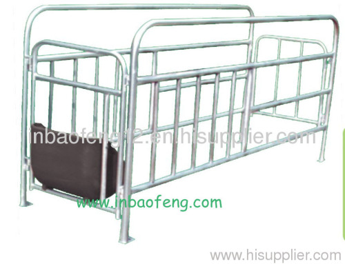 Galvanised gestation crate for pig