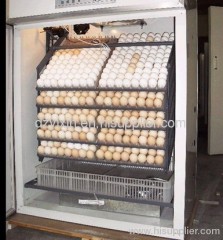 YX--880 quail egg incubator