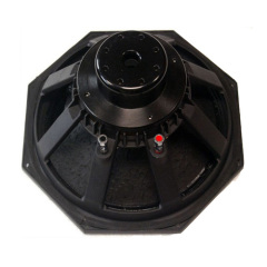 15" hexagon PA woofer