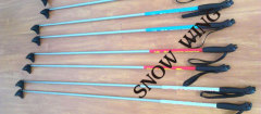 cross country ski pole and binding
