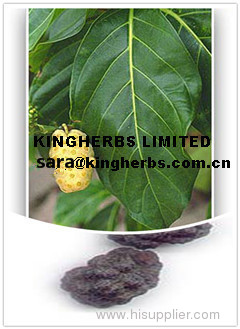 Noni Extract Polysaccharide 9%-12%