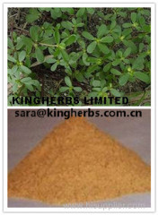 Bacopa monnieri extract Bacopaside 20% by HPLC