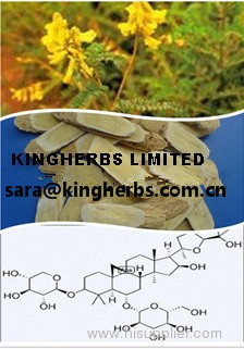 Astragalus Extract 0.3%Astragaloside, 40%-95% Polysaccharides