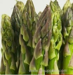 Asparagus extract ; 4% to 8% asparagosides