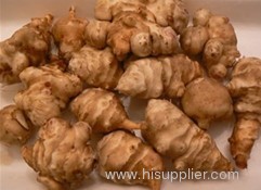 China Jerusalem Artichoke Extract