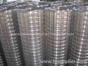 Welded Wire Mesh Roll