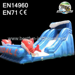 Inflatable Kahuna Waterslides