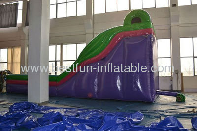 2013 New Hot Inflatable Ripcurl Slide