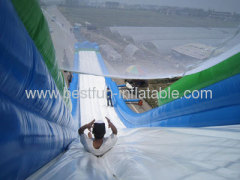 Best Huge Inflatable Hippo Slide