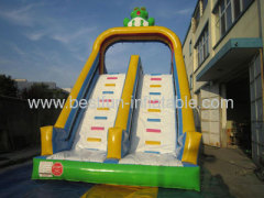 Frog Inflatable Water Slide With Detachable Pool