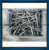 common iron nail