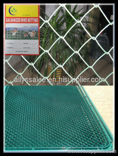 Galvanized Chain Link Fence