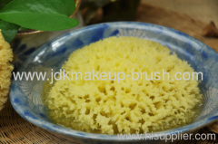 Natural Sponges