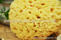 Natural Sponges