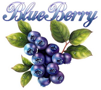 Blueberry impex co.,Ltd