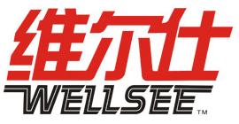 Wellsee Photoelectric (HK) Industrial Co., Limited.