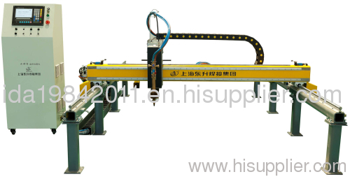 DSG Series Economic (Little Hasee) Gantry Cutting Machine Type 2000/3000