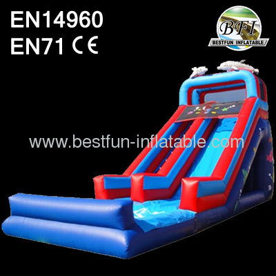 18' Dolphin Detachable Pool And Bumper Inflatable Slide