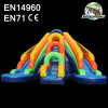 18' Double King Waterslide