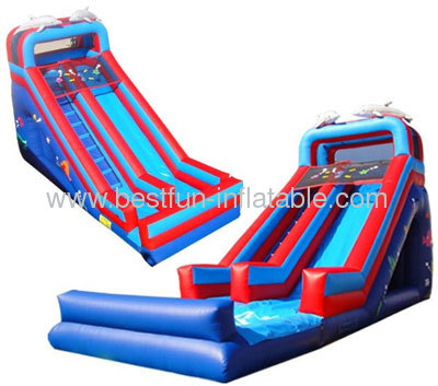 18' Dolphin Detachable Pool And Bumper Inflatable Slide