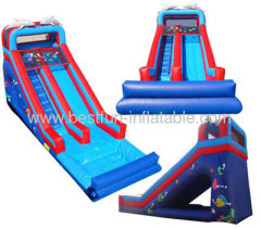 18' Dolphin Detachable Pool And Bumper Inflatable Slide