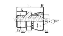 2TB-SP BSPT MALE / BSP FEMALE 60° CONE TUBE HYDRAULIK ADAPTER FITTING PIPE HYDRAULIC ADAPTORS