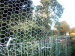 Hexagonal Wire Fence, Zoo Fence PVC Coated