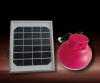 Portable Solar Home Light System