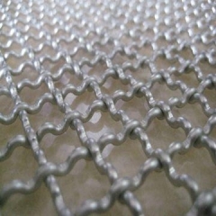 crimped wire mesh