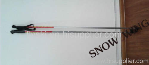 cross country skis pole