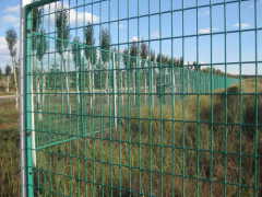 Grass/pature/field fence