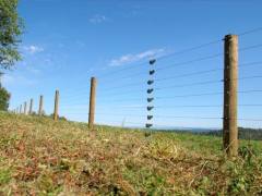 Grass/pature/field fence