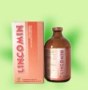 Lincomycin injection 30%