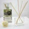 Home Fragrance Reed Diffuser Set 150ml Glass Bottle Aroma Diffuser with Plastic Plunger TS-RD34