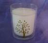 Custom flameless Jasmine Glass Scented Candle, Soy Candles Jar TS-CC056