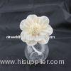 Tapioca Natural Sola Wood Flower Diffuser with Rattan Stickers For Essential Oil Vase MS-FD0297