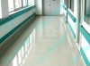 Hospital Using PVC Wall Protecting Handrail System