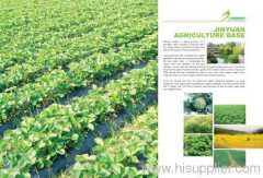 Jiangxi Jinyuan Agriculture Development co.,ltd