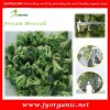 Organic frozen broccoli