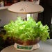 hydroponics grow light farm