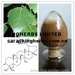 China birch leaf extract