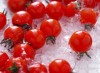 China lycopene tomato extract